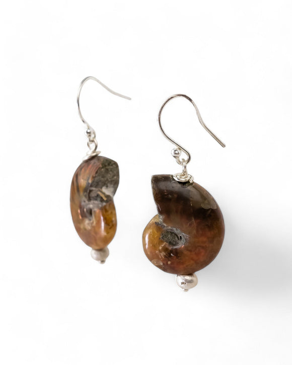 Ammonite Fossil Earrings Earrings Pruden and Smith