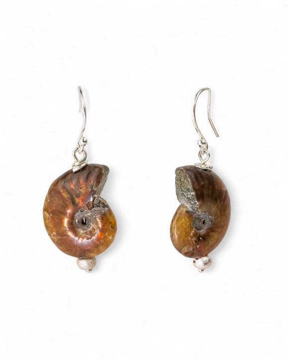 Ammonite Fossil Earrings Earrings Pruden and Smith