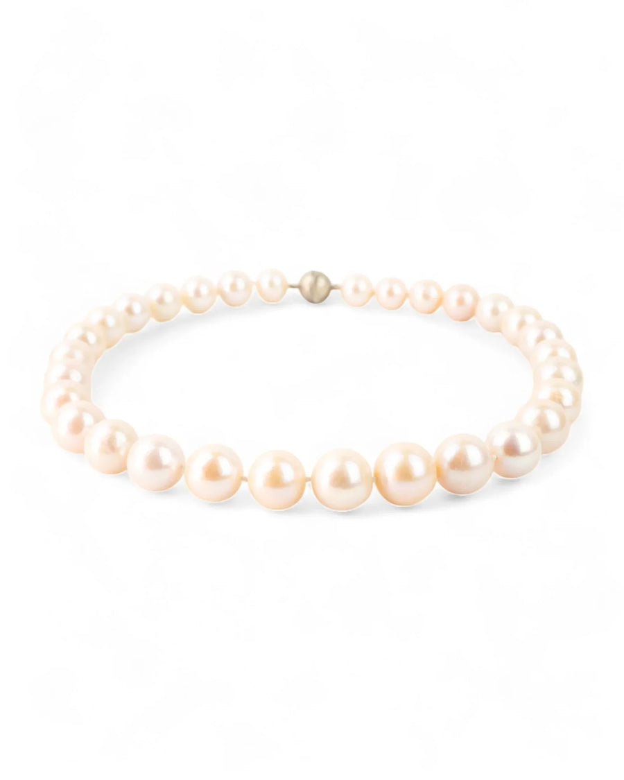 9ct Yellow Gold White Pearl Necklace Necklace Pruden and Smith