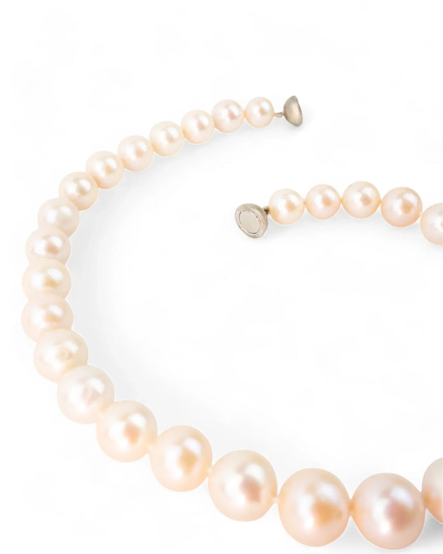 9ct Yellow Gold White Pearl Necklace Necklace Pruden and Smith