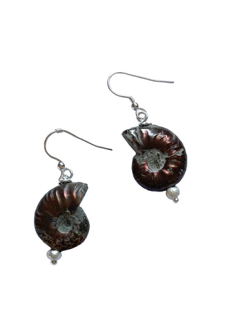 Ammonite Fossil Earrings Earring Pruden and Smith   