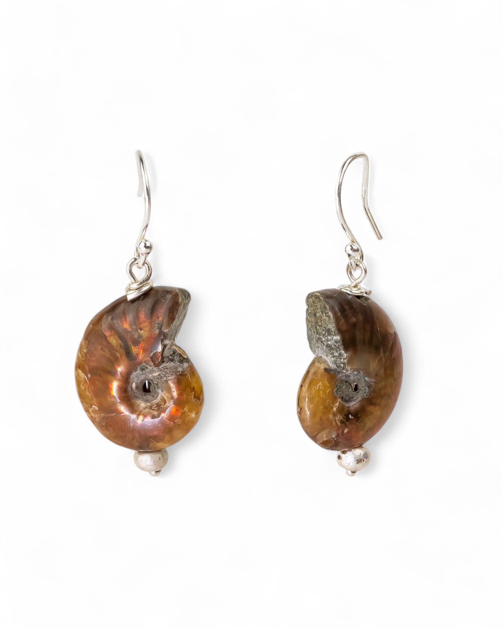 Ammonite Fossil Earrings Earrings Pruden and Smith
