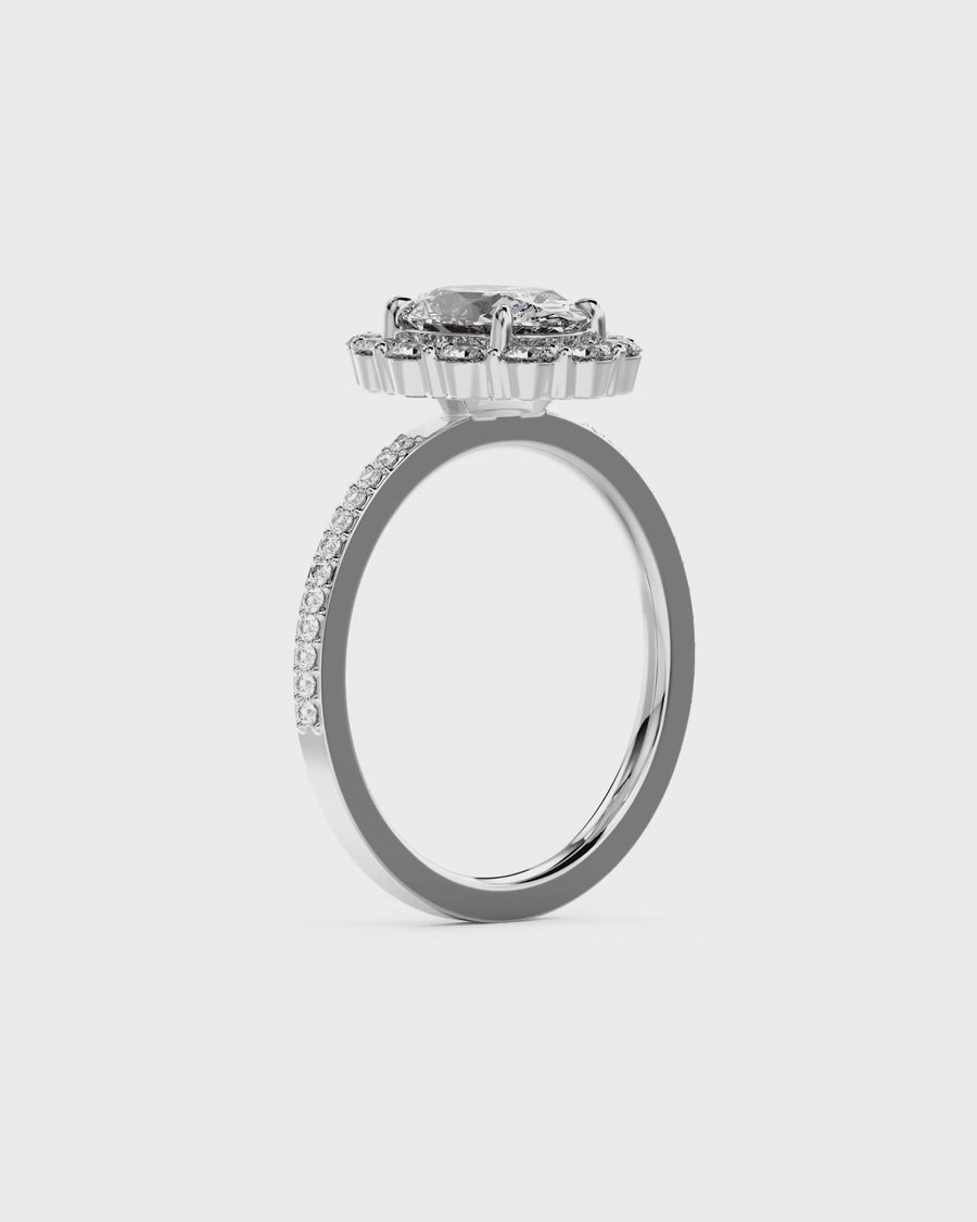 Oval Cut Claw Set Halo