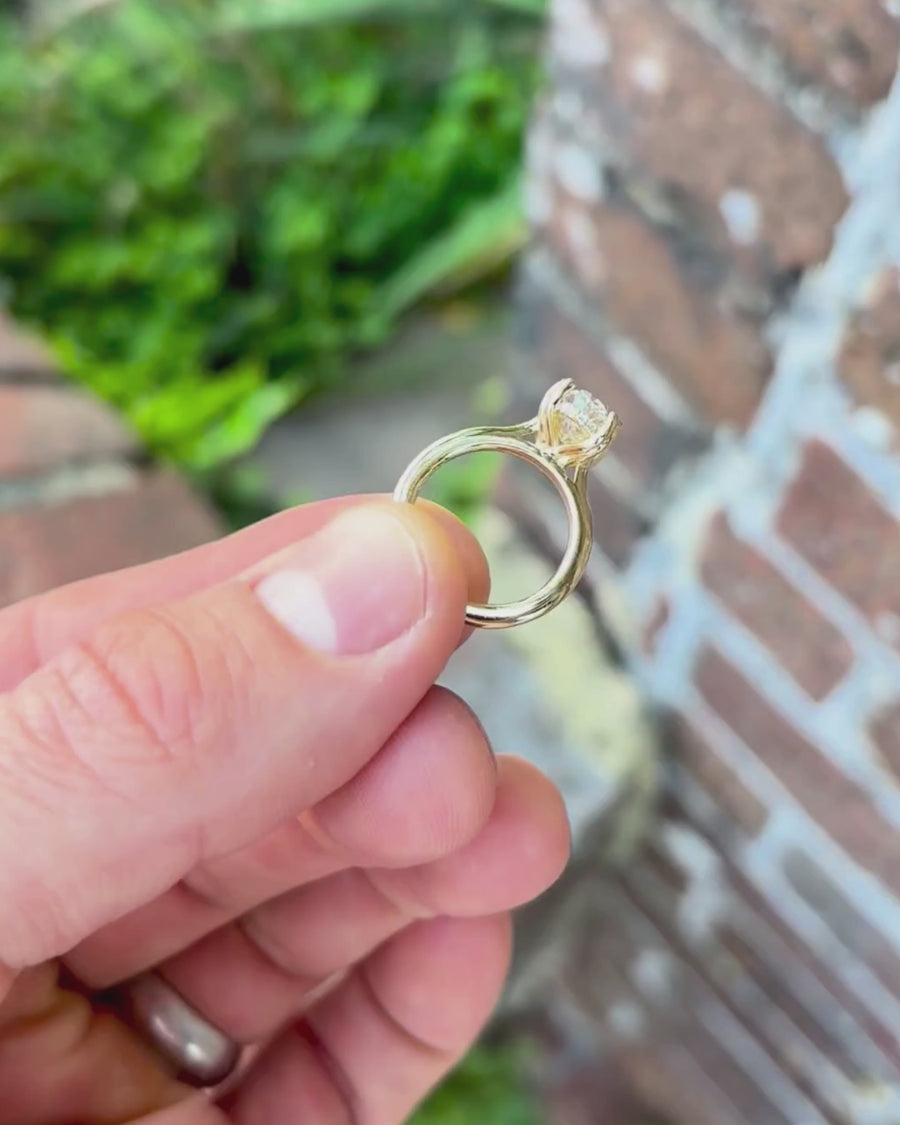 Oval Cut Hidden Halo Engagement Ring