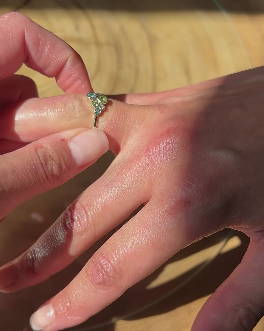 Bubbles Cluster Family Ring