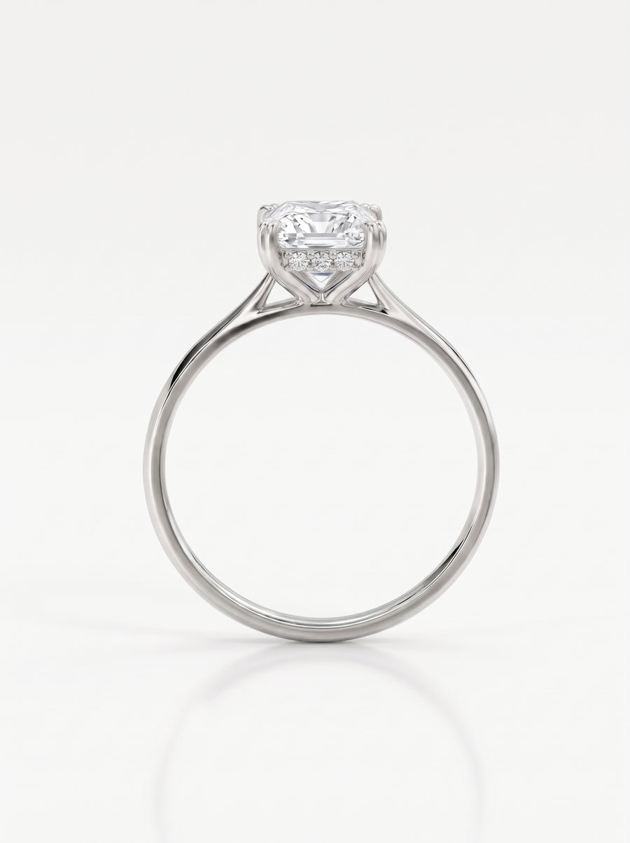 Princess Cut Hidden Halo Engagement Ring