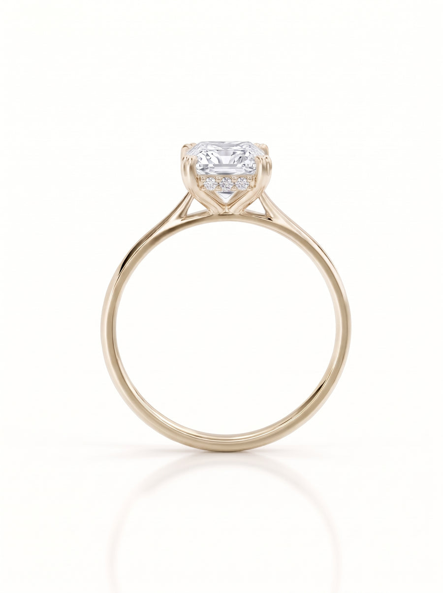 Princess Cut Hidden Halo Engagement Ring