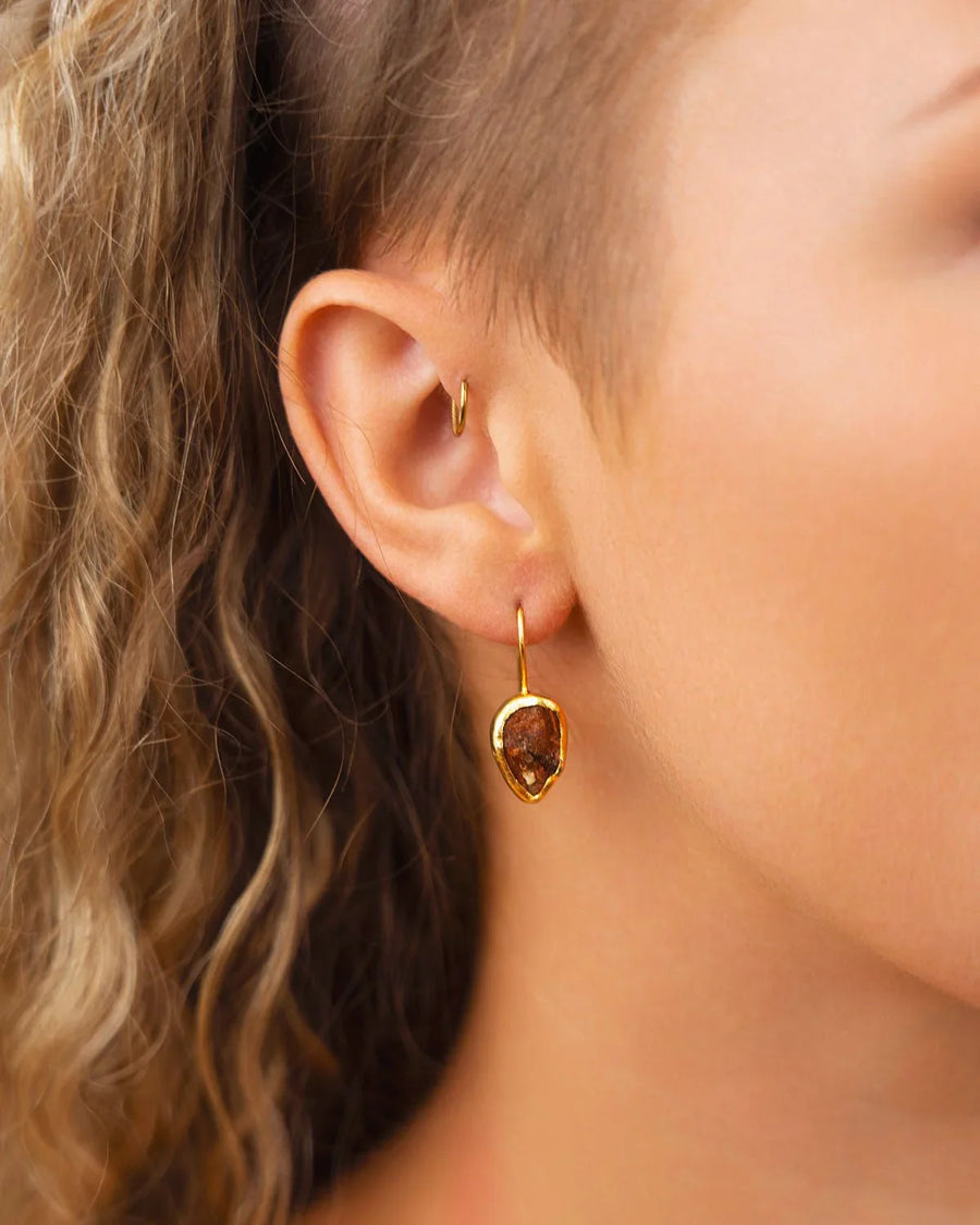 Tiger's Eye Drop Earrings Earrings Pruden and Smith