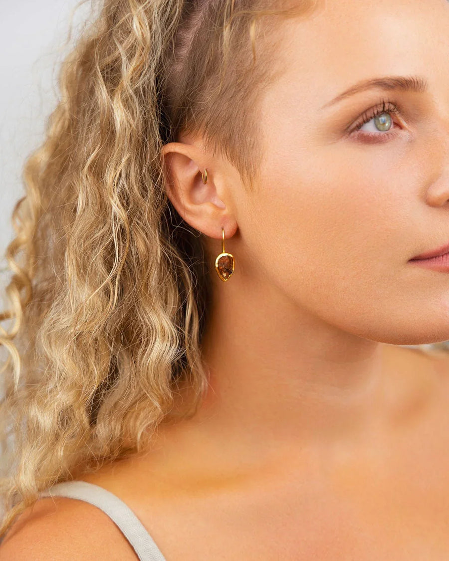 Tiger's Eye Drop Earrings Earrings Pruden and Smith